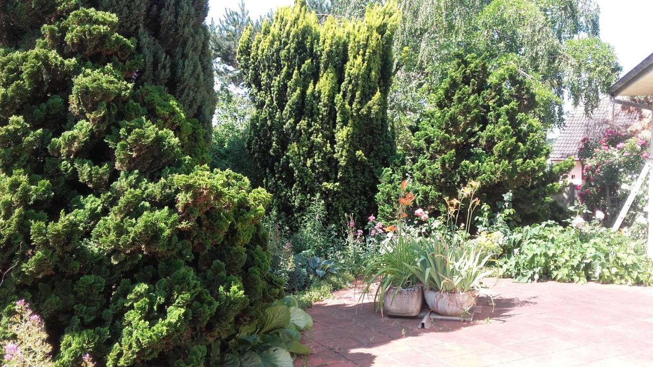 Chambres Du Jardin Fleuri Saint-Aubin-lès-Elbeuf Exterior foto